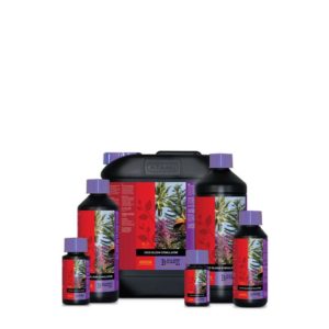 ATAMI-COCO BLOOM STIMULATOR