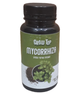 פיטריות מיקוריזה