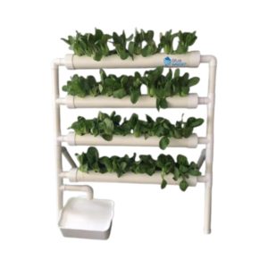 הידרו סטאר, ראשי, הידרו סטאר