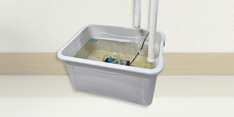 איך מתחילים לגדל במערכת הידרופונית 4 גיגית מים