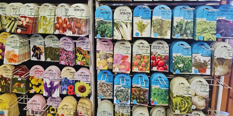 איך מתחילים לגדל במערכת הידרופונית 6 זרעים בחנות