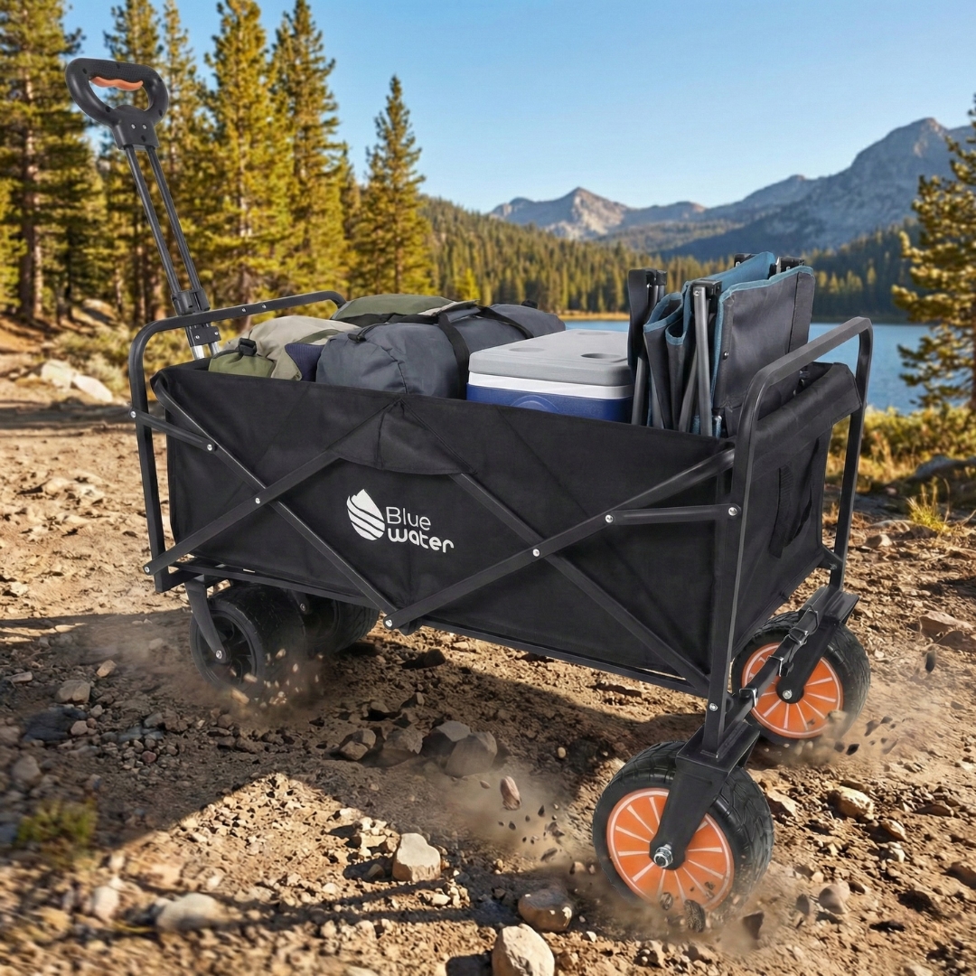 עגלת נשיאה ממונעת BW-eazylift-01 - צבע שחור - ברקע